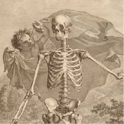 Detail of an engraving titled "Tabulae Sceleti e Musculorum Corpis Humani" showing a skeleton with an angel